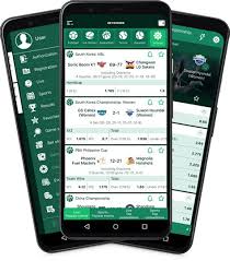 Betwinner Sportsbook Apostas Desportivas e Dicas para Apostadores